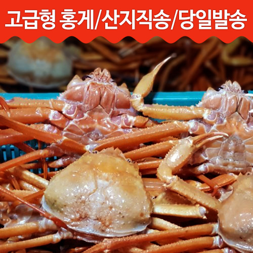 포항 구룡포 홍게(찜) 3kg(10~12미) 다리수율80%, 몸통수율 70%이상